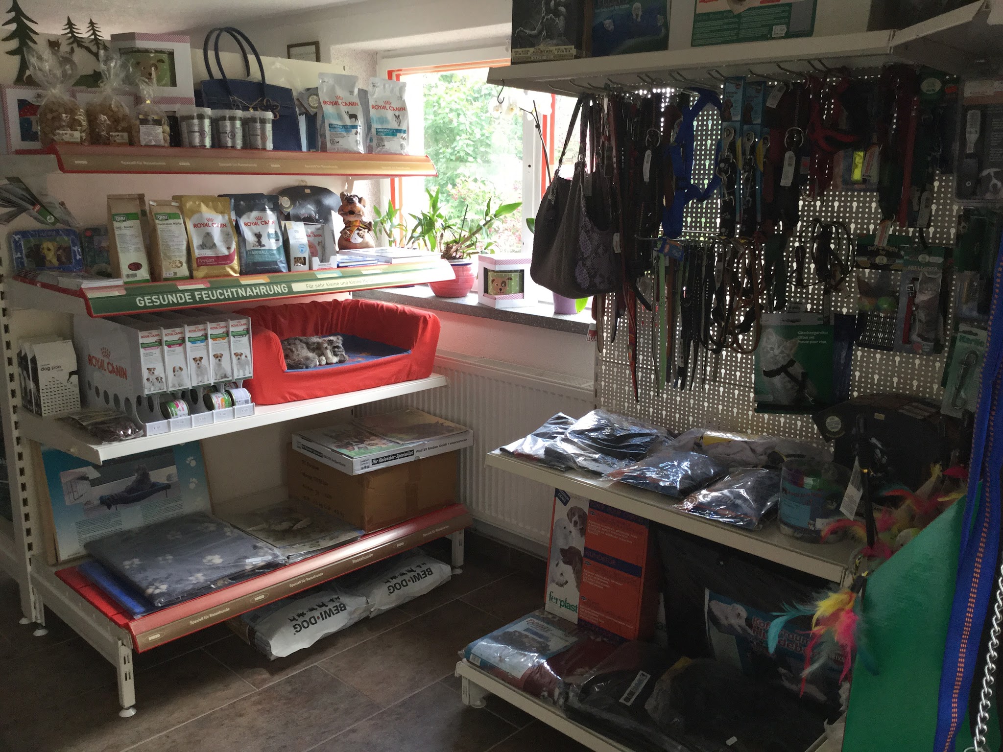 Regale mit Royal Canin Futter, Hundebett und Zubehör im Laden von Picco Bello