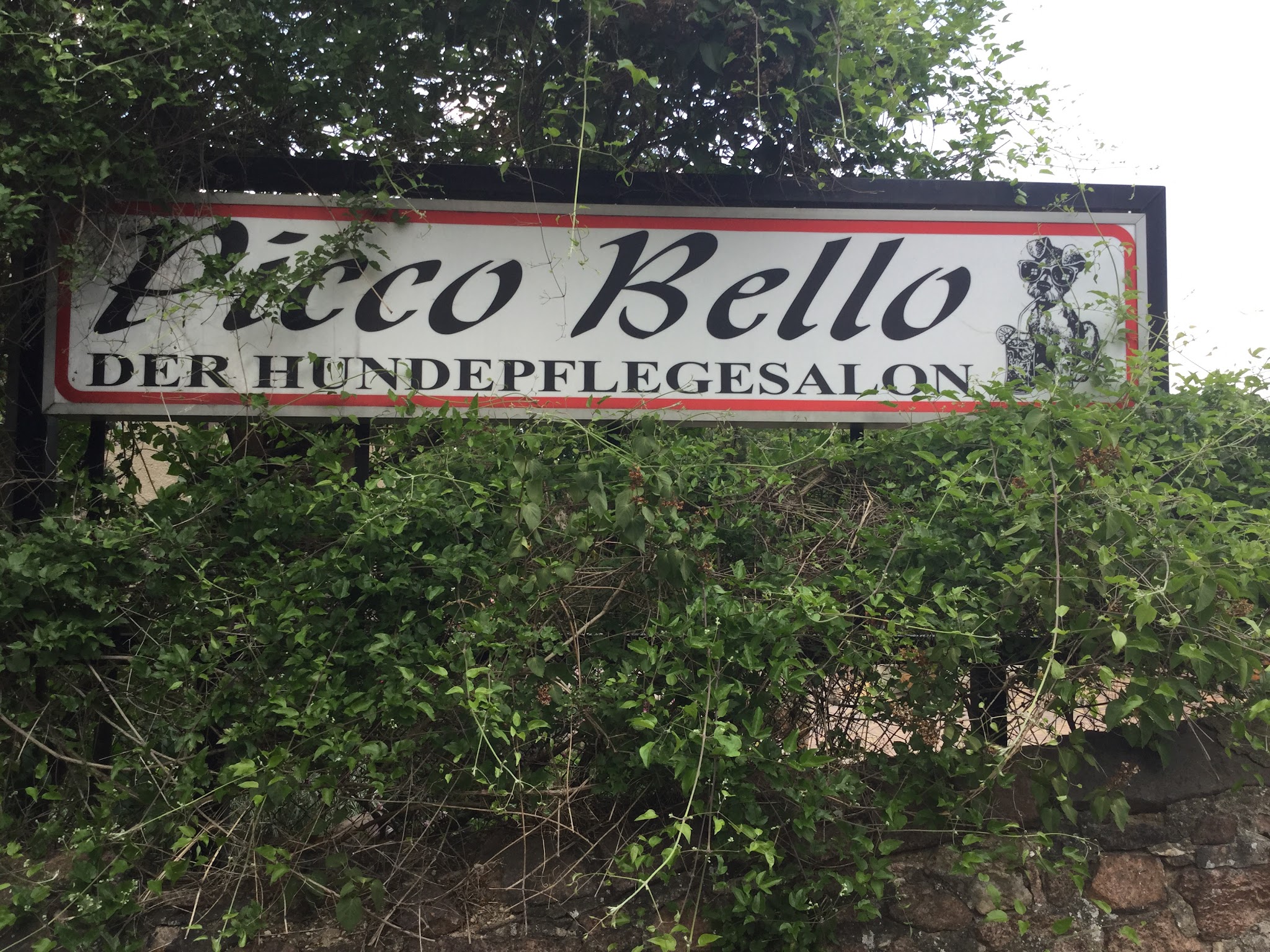Schild von Picco Bello Der Hundepflegesalon mit kleinem Maskottchen
